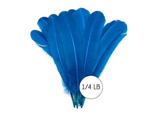 1/4 Lb - Turquoise Blue Turkey Tom Rounds Secondary Wing Quill Wholesale Feathers (Bulk)