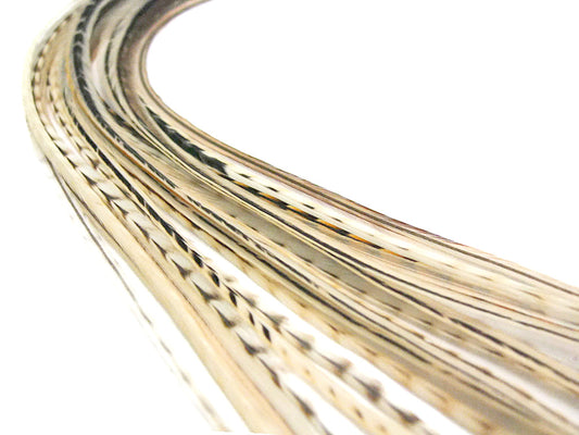 10 Pieces - Unique Cream Variant Thin Long Whiting Farms Rooster Saddle Hair Extension Feathers