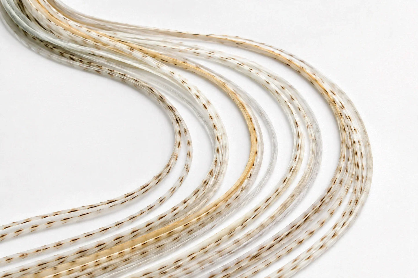 10 Pieces - Unique Cream Variant Thin Long Whiting Farms Rooster Saddle Hair Extension Feathers