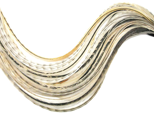 6 Pieces - XL Unique Cream Variant Grizzly Thin Whiting Farms Rooster Saddle Hair Extension Feathers