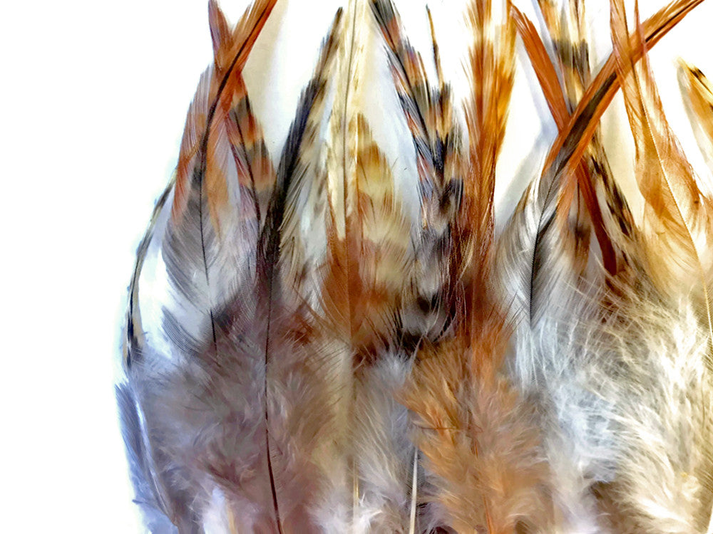 1 Dozen - Short Unique Ginger Grizzly Whiting Farm Rooster Saddle Hair Extension Feathers