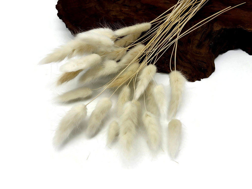 30 Pieces - 12-15" Bleached White Bunny Tail Preserved Dried Botanical Grass Bouquet