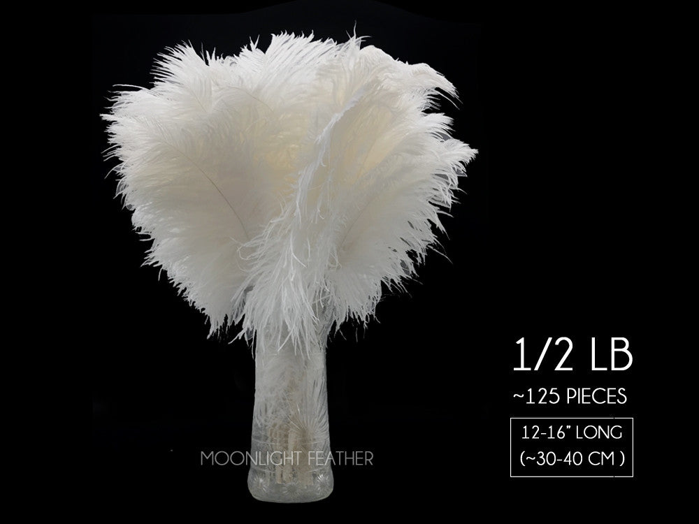 1/2 Lb - 12-16" Snow White Ostrich Tail Wholesale Fancy Feathers (Bulk)