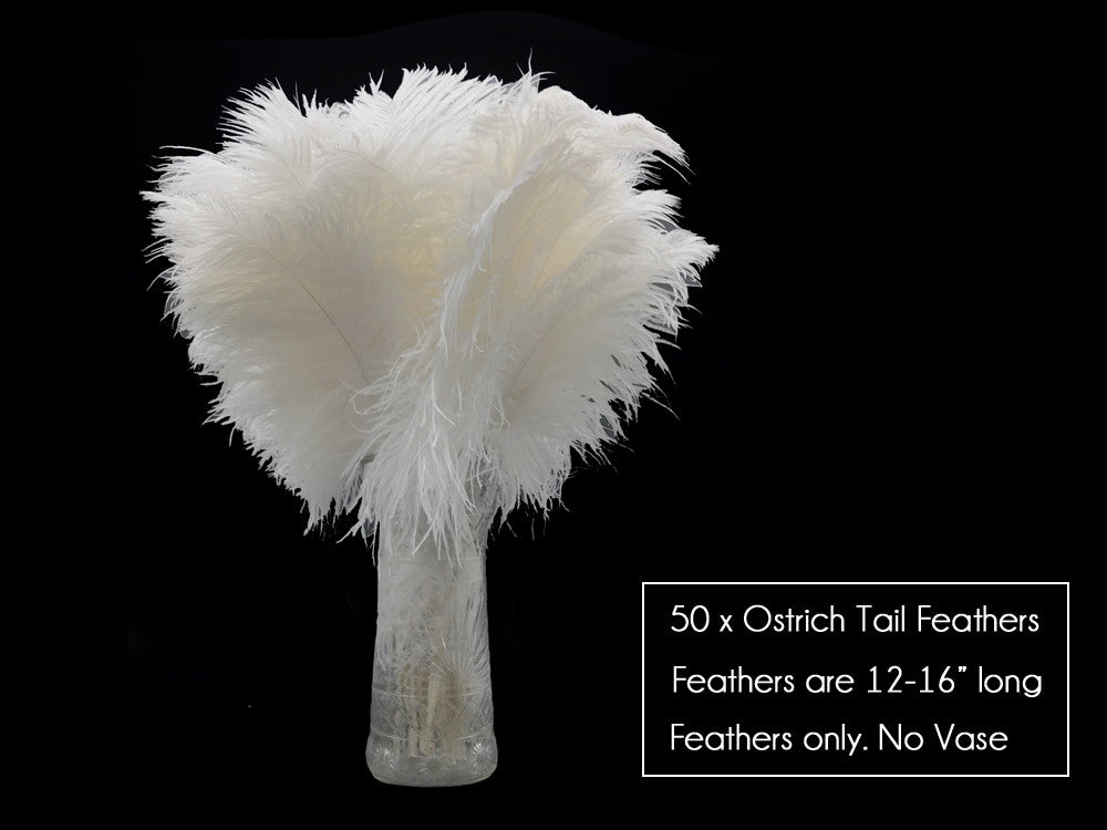 50 Pieces - 12-16" Snow White Ostrich Tail Centerpiece Costume Wholesale Feathers (Bulk)
