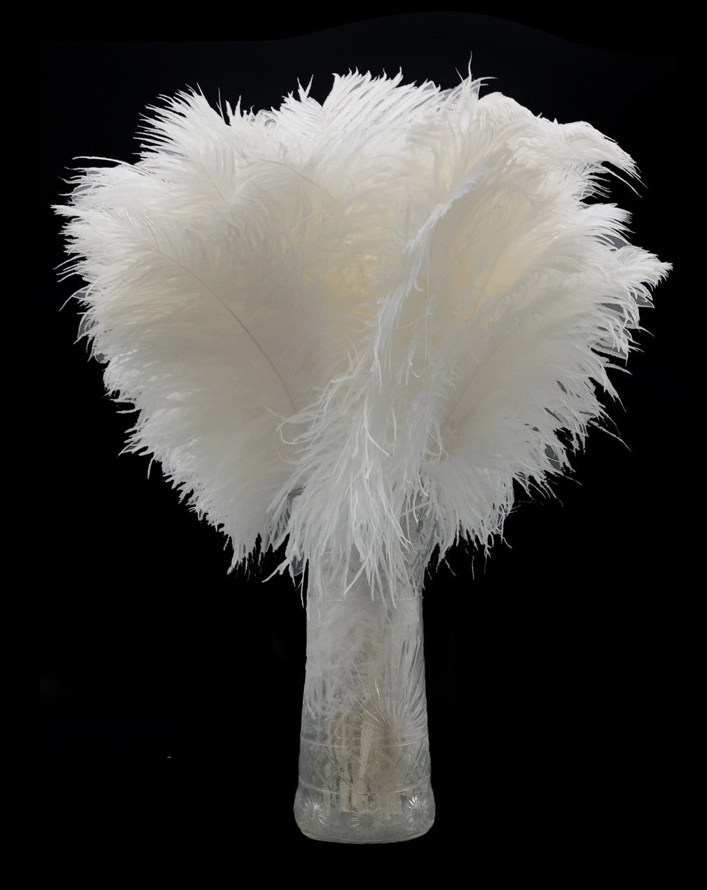 1/2 Lb - 12-16" Snow White Ostrich Tail Wholesale Fancy Feathers (Bulk)