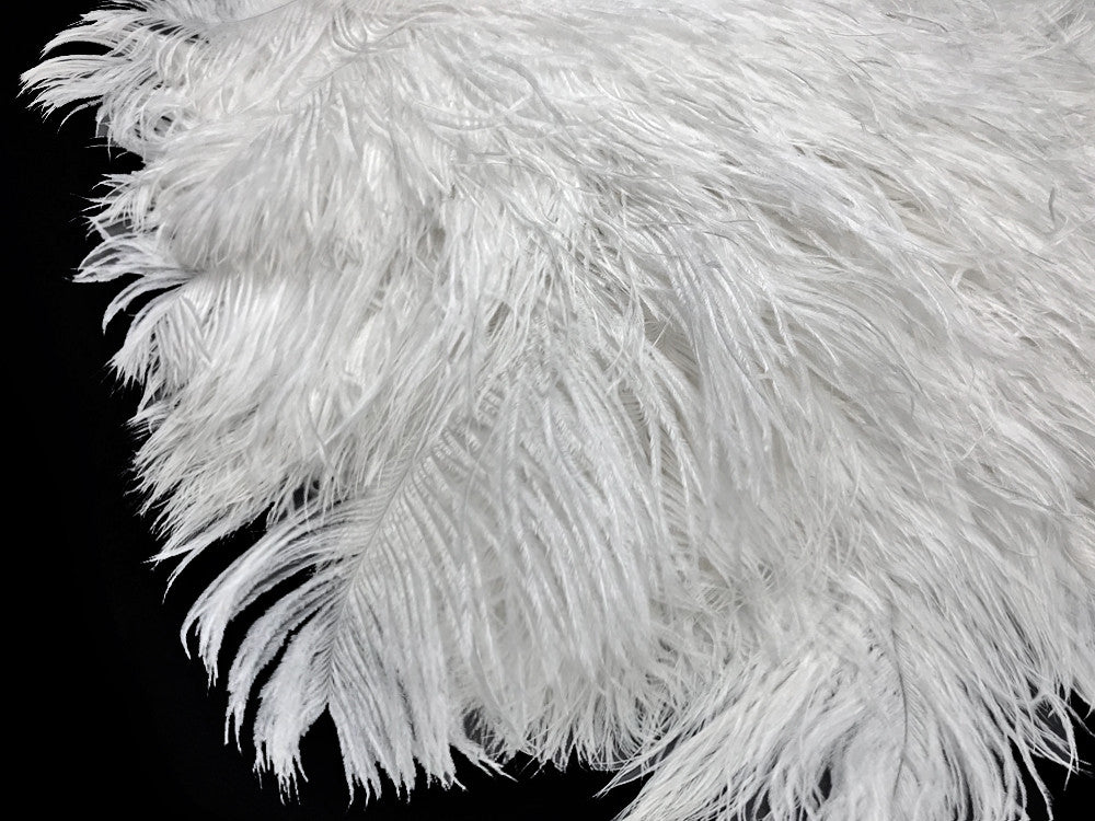 10 Pieces -  12-16" Snow White Dyed Ostrich Tail Fancy Feathers