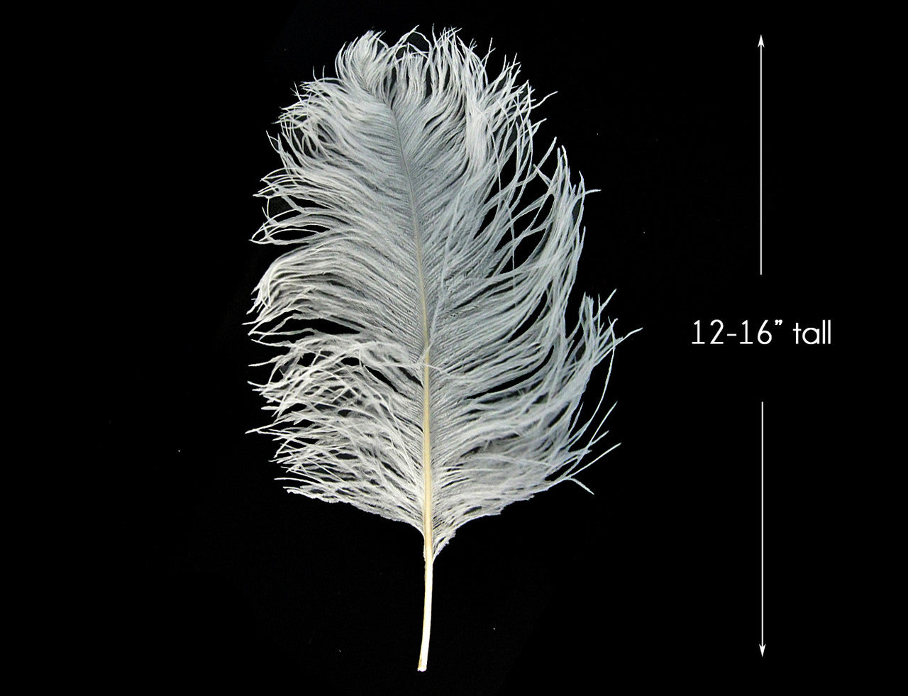50 Pieces - 12-16" Snow White Ostrich Tail Centerpiece Costume Wholesale Feathers (Bulk)