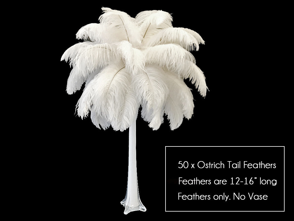 50 Pieces - 12-16" Snow White Ostrich Tail Centerpiece Costume Wholesale Feathers (Bulk)