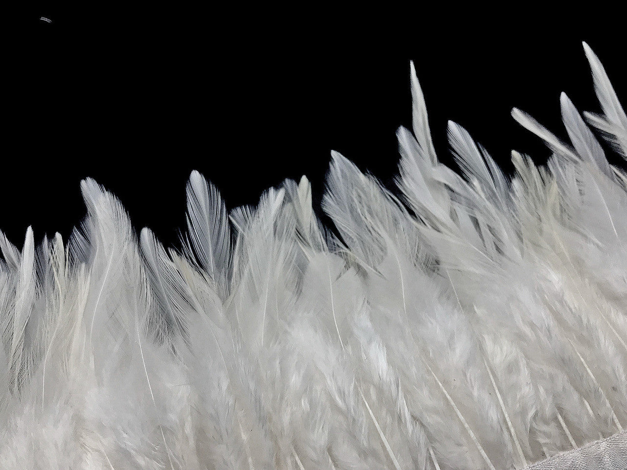 1 Yard - White Rooster Neck Hackle Saddle Feather Wholesale Trim