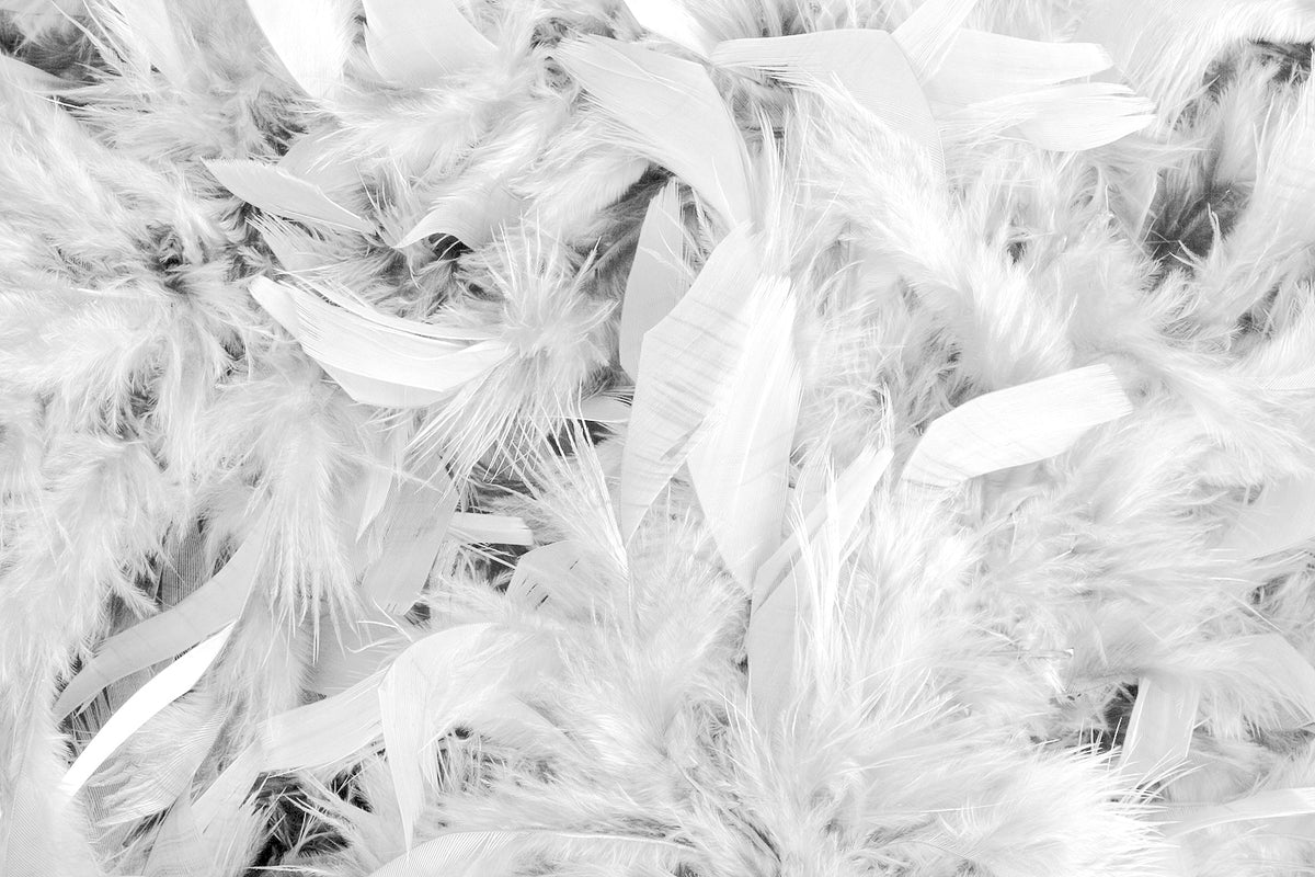 1 Yard - White  Chandelle Turkey Fluffy Feather Trim