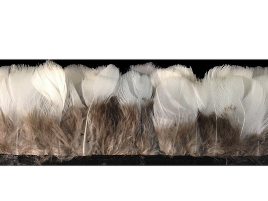 1 Yard - White Round Lady Amherst Pheasant Plumage Feather Trim