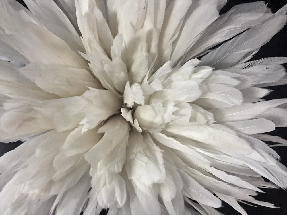 1/2 Yard -  8-10" Natural White Strung Natural Bleach Rooster Coque Tail Wholesale Feathers (Bulk)