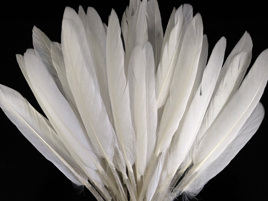 1/4 Lb. - Natural White Duck Cochettes Loose Wing Quill Wholesale Feather (Bulk)