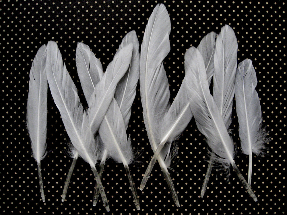 1/4 Lb. - Natural White Duck Cochettes Loose Wing Quill Wholesale Feather (Bulk)