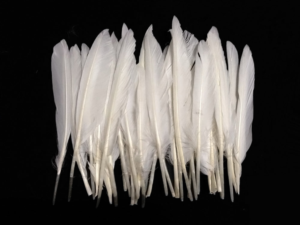 1 Pack - White Duck Primary Wing Pointer Feathers 0.50 Oz.