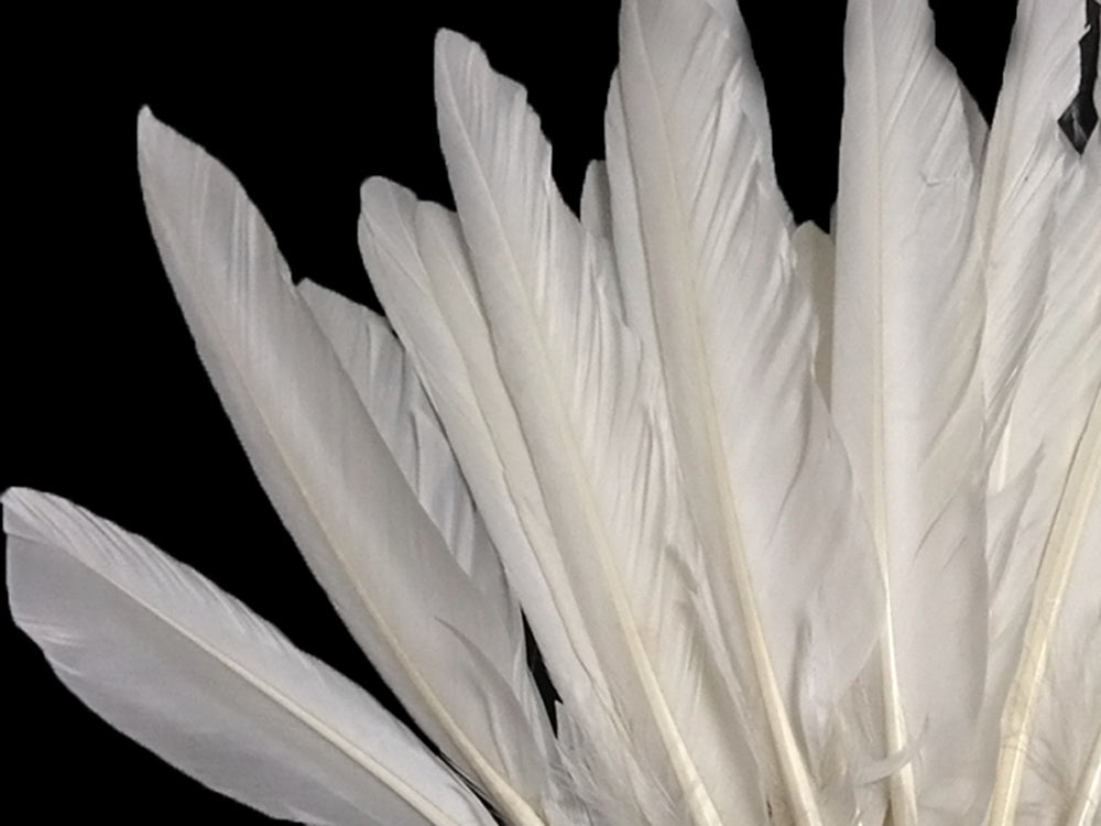 1/4 lbs. - White Duck Pointer Primary Wing Wholesale Feathers (Bulk)