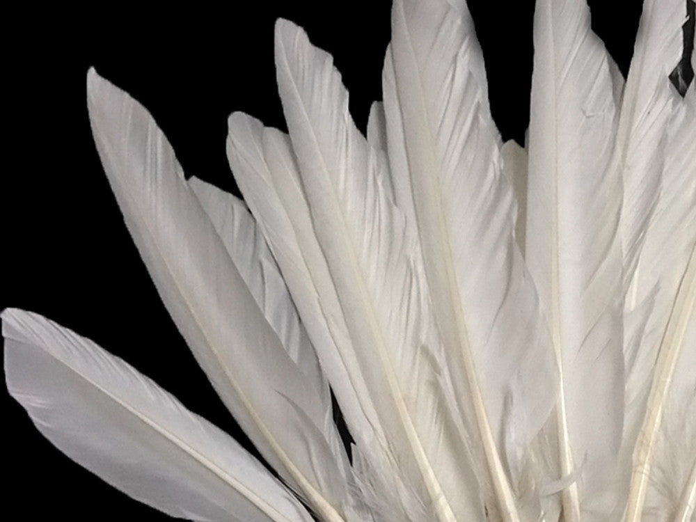 1/4 Lbs - White Duck Pointer Primary Wing Wholesale Feathers (Bulk)