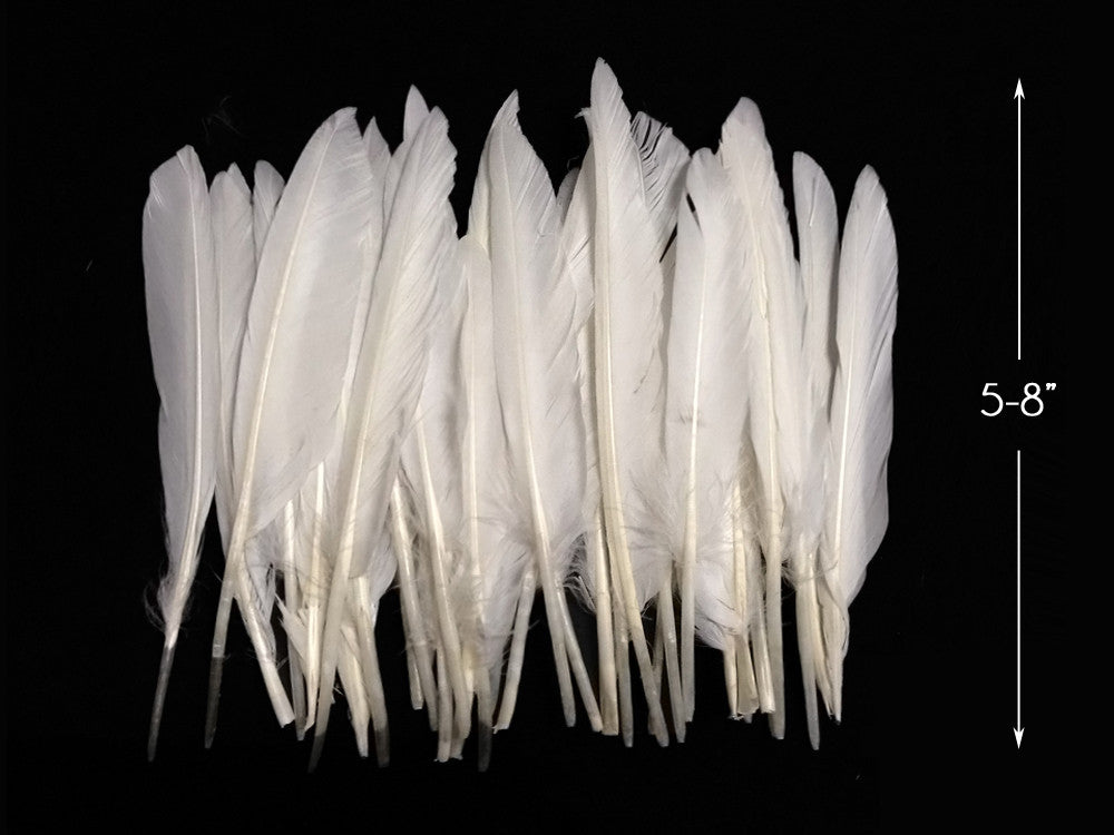 1/4 Lbs - White Duck Pointer Primary Wing Wholesale Feathers (Bulk)