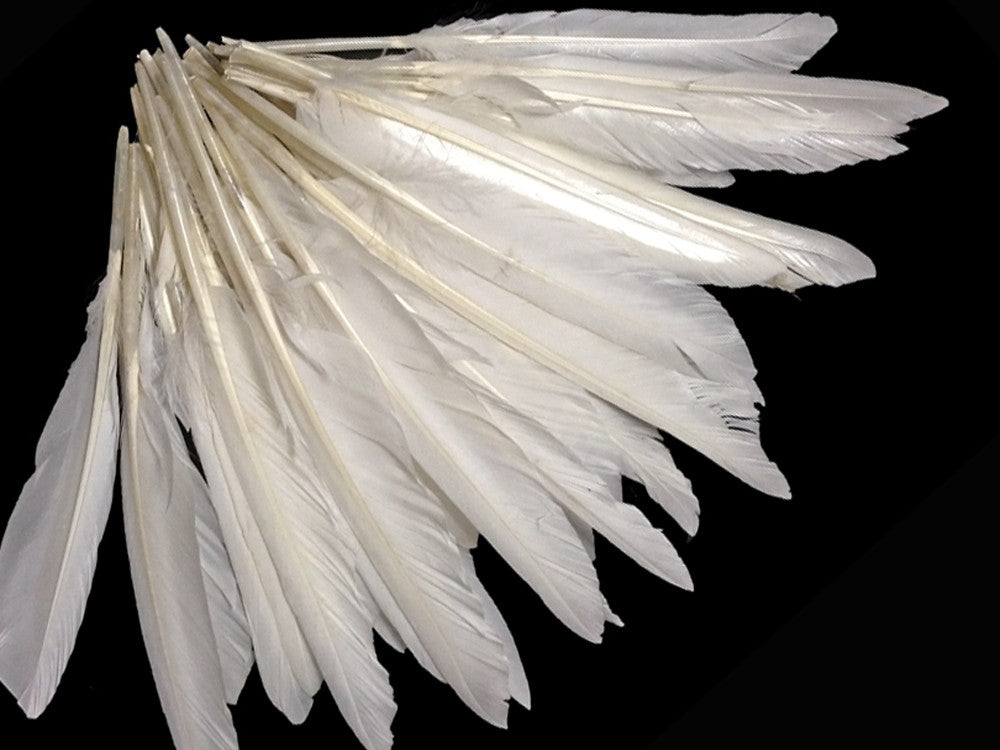 1/4 Lbs - White Duck Pointer Primary Wing Wholesale Feathers (Bulk)