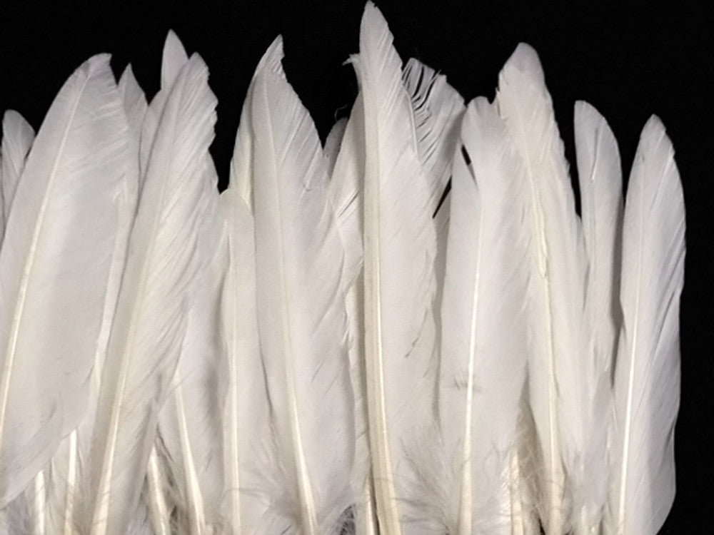 1/4 Lbs - White Duck Pointer Primary Wing Wholesale Feathers (Bulk)