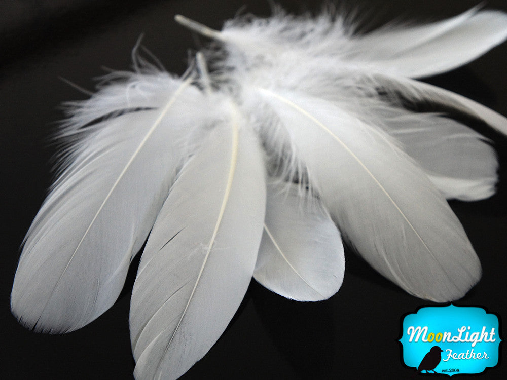 1/4 Lb - White Goose Nagoire Wholesale Feathers (Bulk)