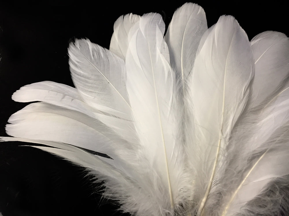 1/4 lbs. - White Goose Nagoire Wholesale Feathers (Bulk)