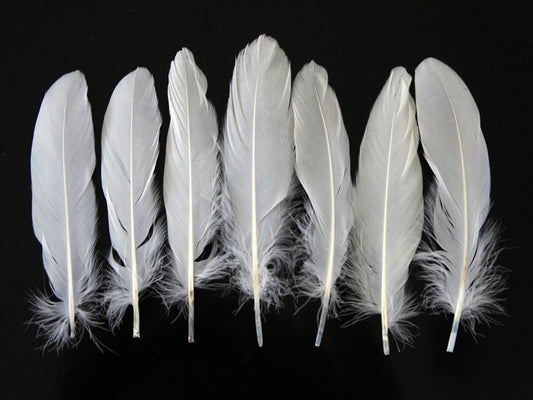 1 Pack - White Goose Satinettes Pallet Soft Wing Quill Loose Feathers - 0.3 Oz