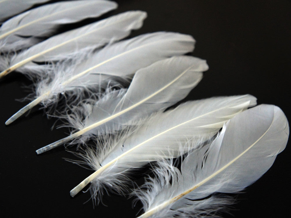 1/4 Lb - White Goose Satinettes Wholesale Loose Feathers (Bulk)