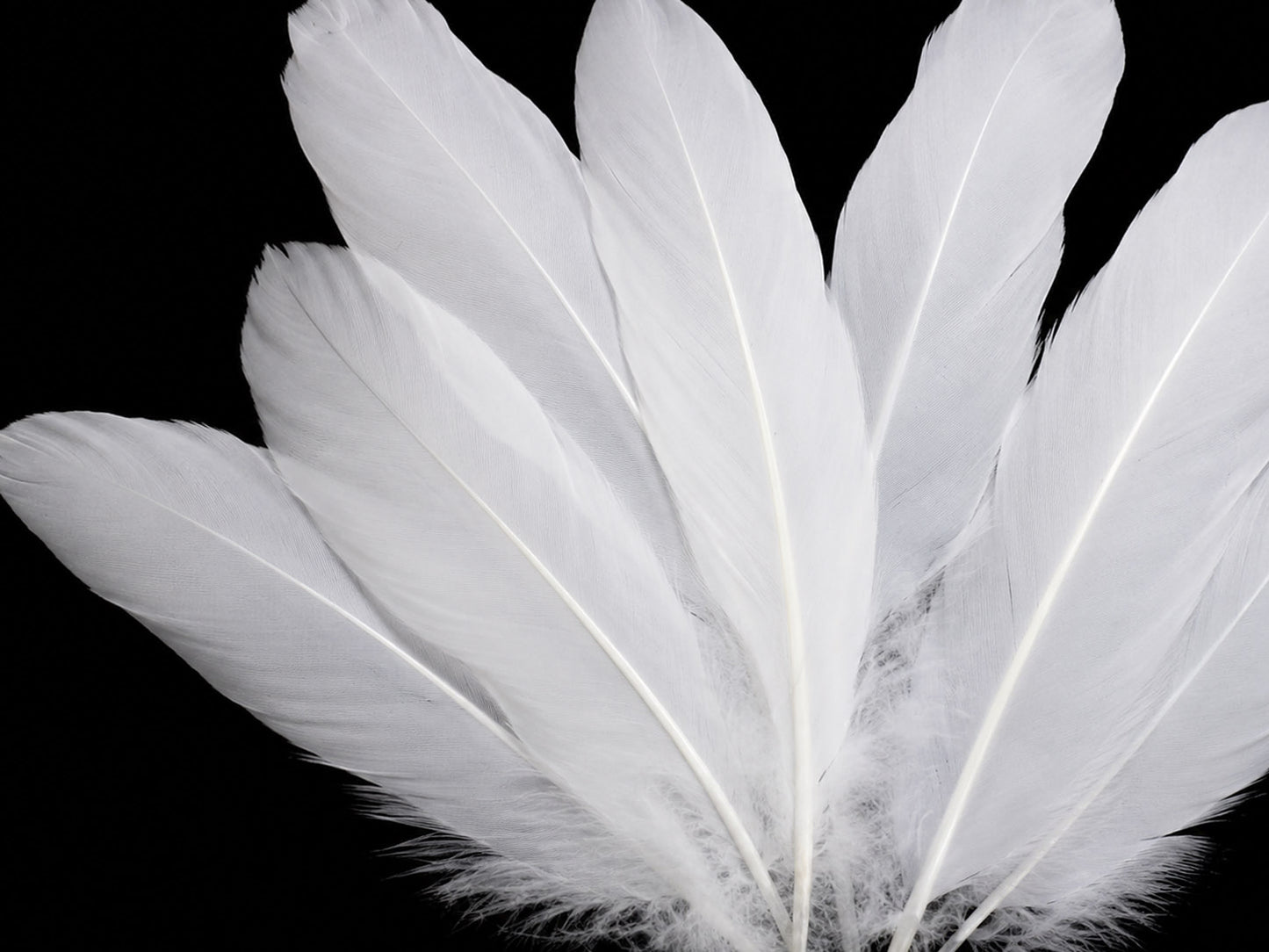 1 Pack - White Goose Satinettes Pallet Soft Wing Quill Loose Feathers - 0.3 Oz