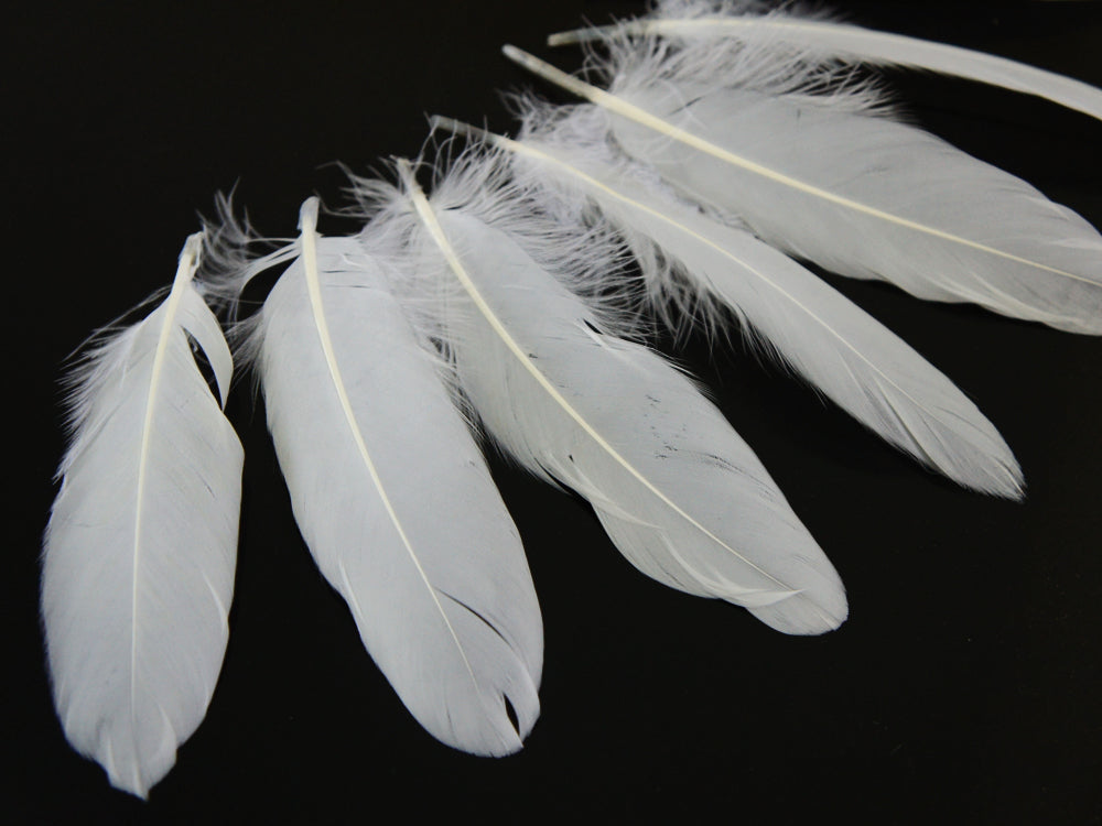 1 Pack - White Goose Satinettes Pallet Soft Wing Quill Loose Feathers - 0.3 Oz