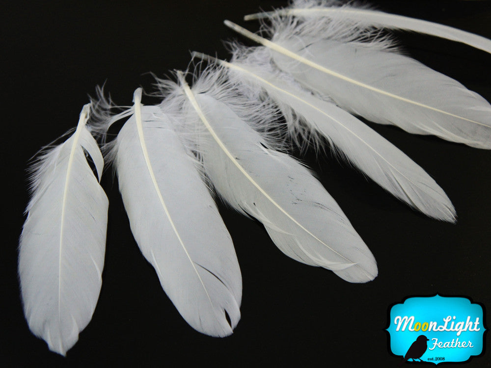 1/4 Lb - White Goose Satinettes Wholesale Loose Feathers (Bulk)