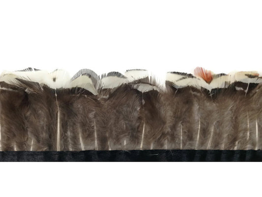 1 Yard - White Lady Amherst Pheasant Plumage Feather Trim