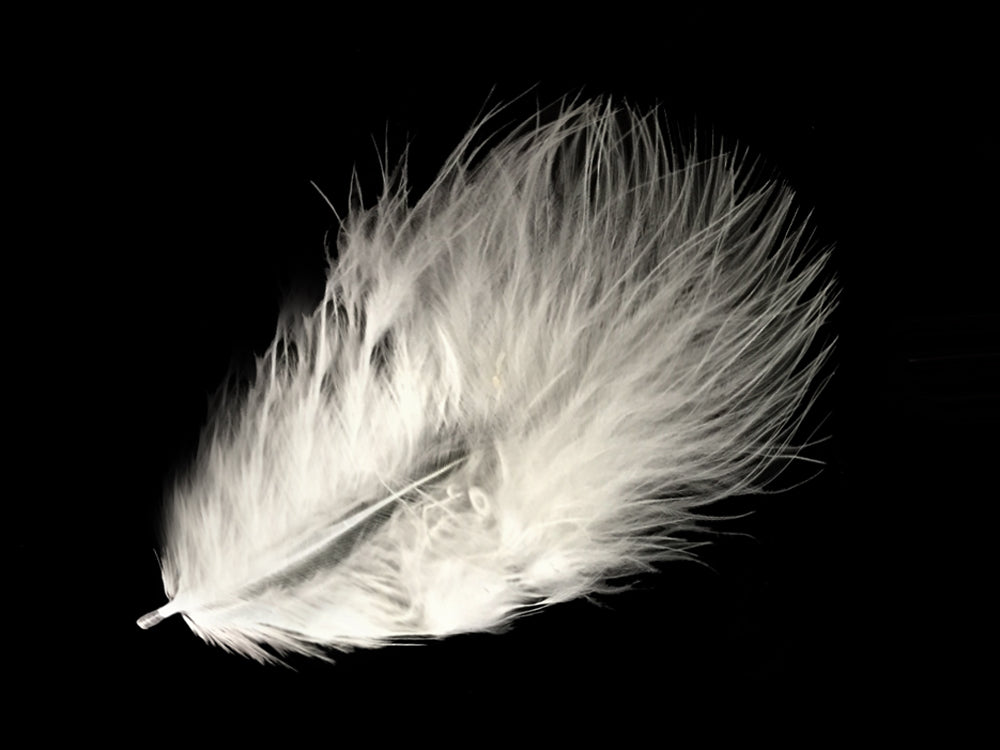 1/8 lbs. - White Turkey Marabou Short Down Fluffy Loose Wholesale Feathers (Bulk)