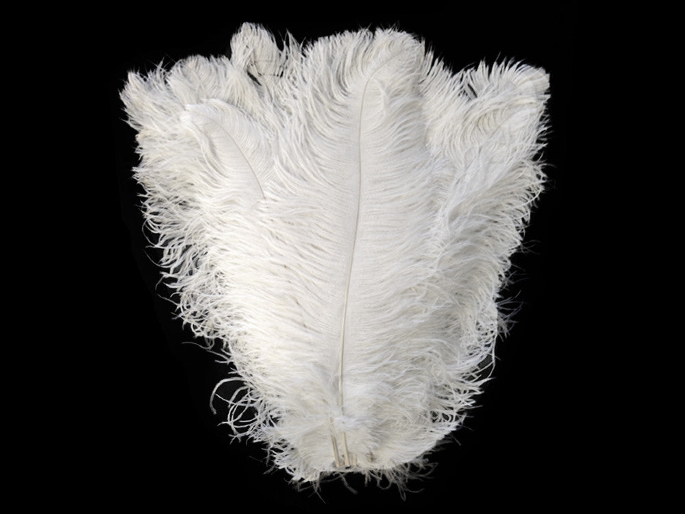 10 Pieces - 19-24" Off White Ostrich Dyed Drabs Body Feathers