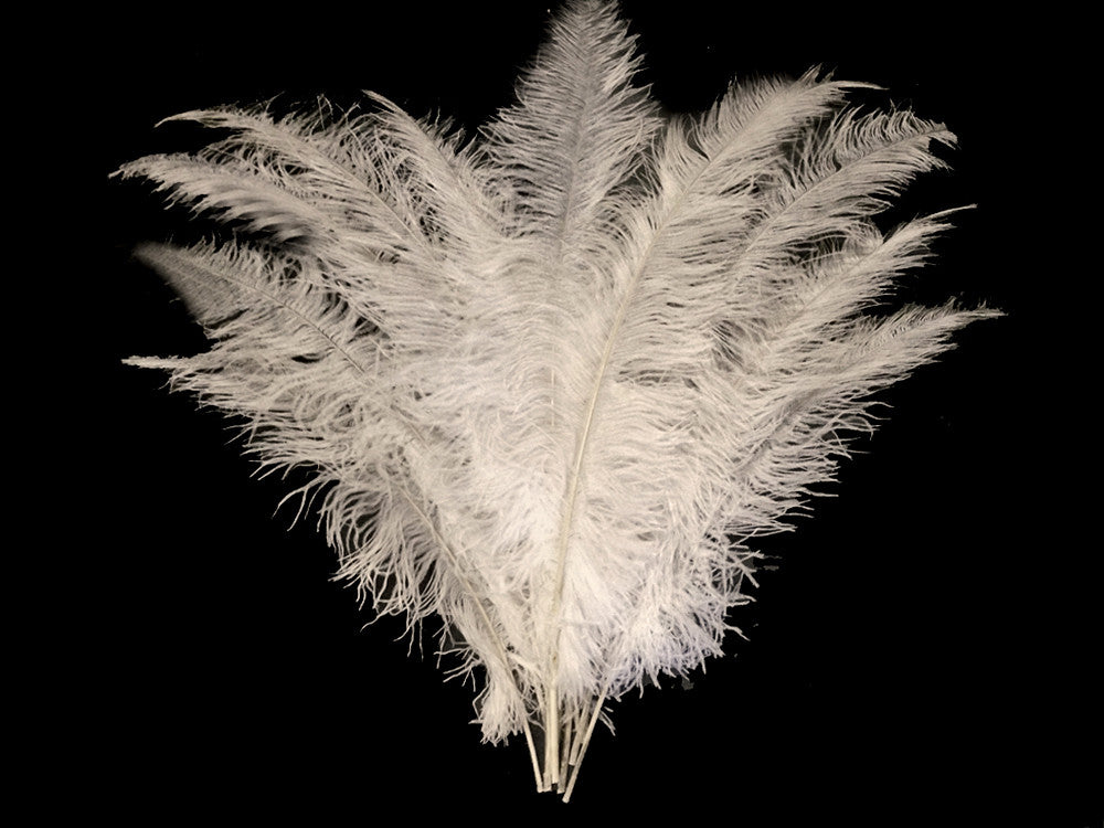 10 Pieces - 20-28" White Ostrich Spads Large Wing Feathers