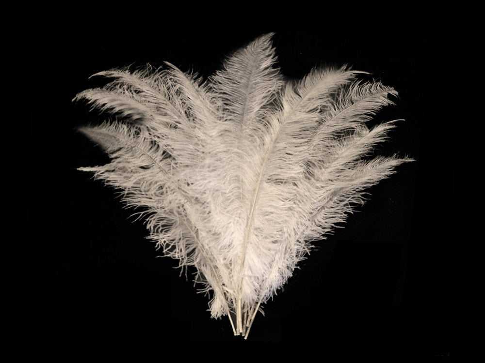 10 Pieces - 20-28" White Ostrich Spads Large Wing Feathers