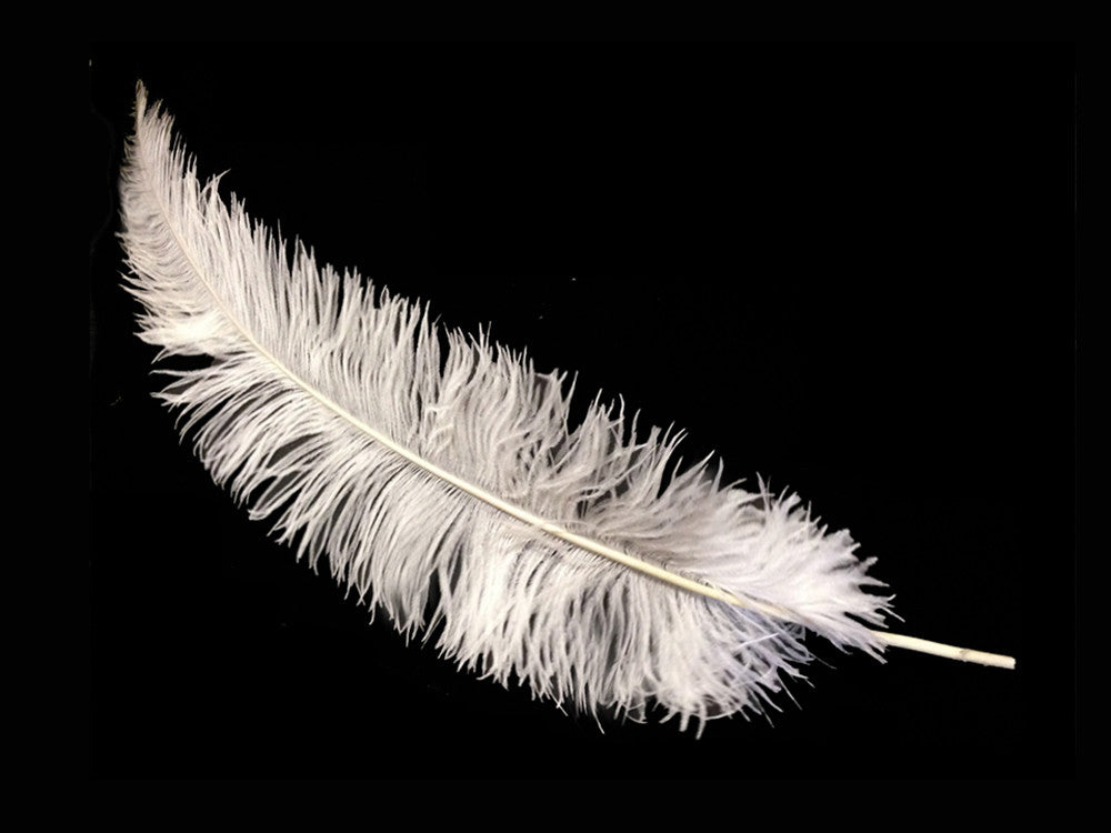 10 Pieces - 20-28" White Ostrich Spads Large Wing Feathers