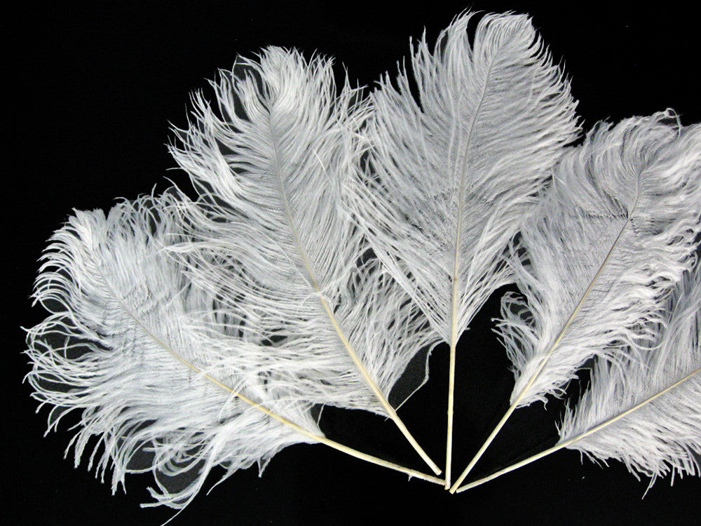 10 Pieces -  12-16" Snow White Dyed Ostrich Tail Fancy Feathers