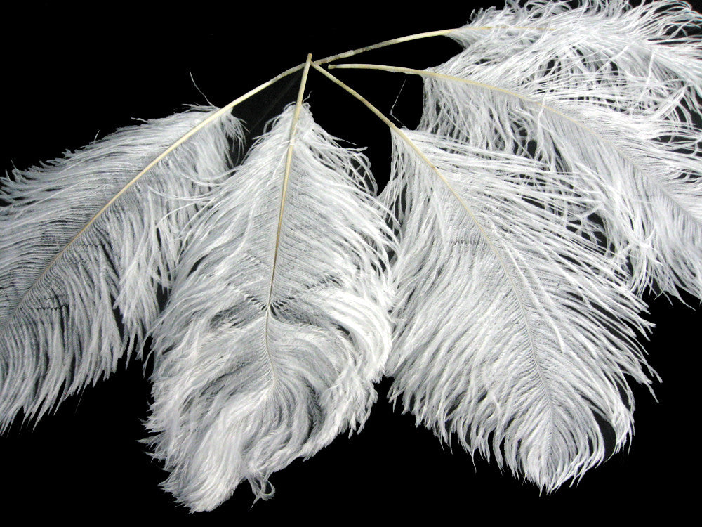 10 Pieces -  12-16" Snow White Dyed Ostrich Tail Fancy Feathers