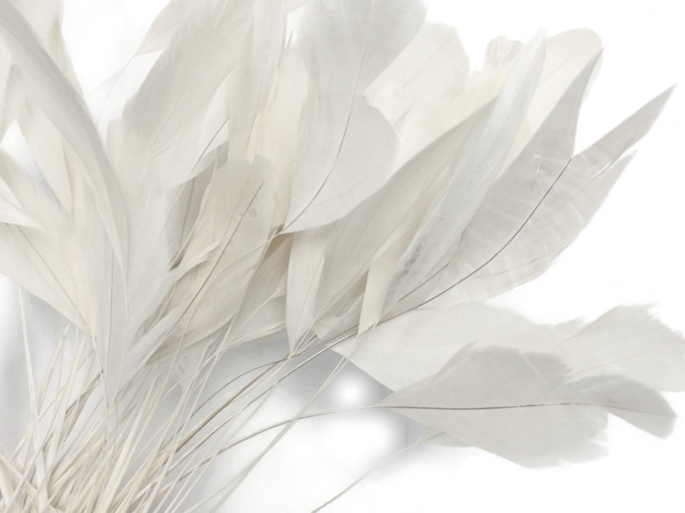 1 Dozen - White Stripped Rooster Coque Tail Feathers