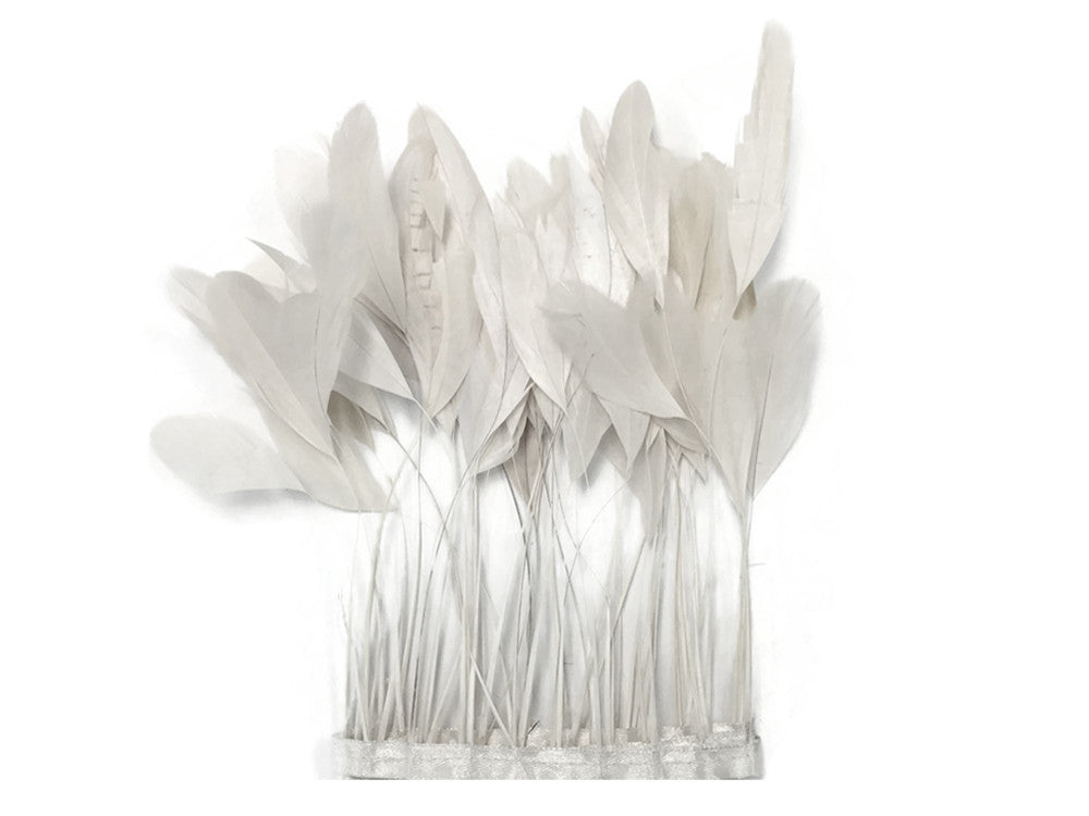 1 Dozen - White Stripped Rooster Coque Tail Feathers