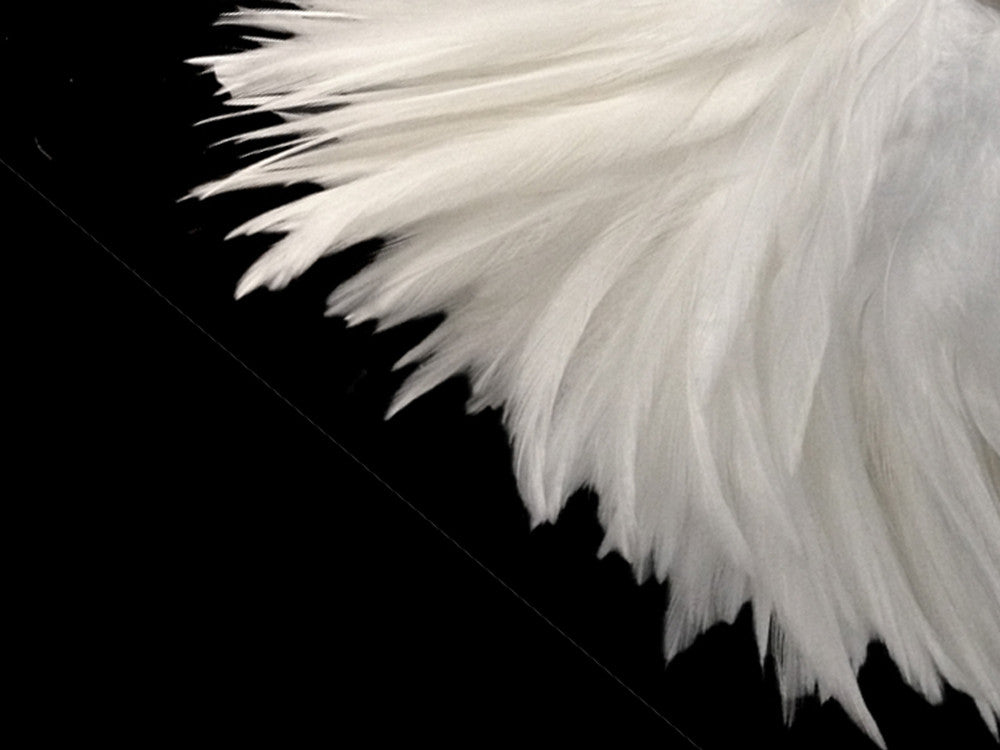 4 Inch Strip - 4-6" Natural White Strung Chinese Rooster Saddle Feathers