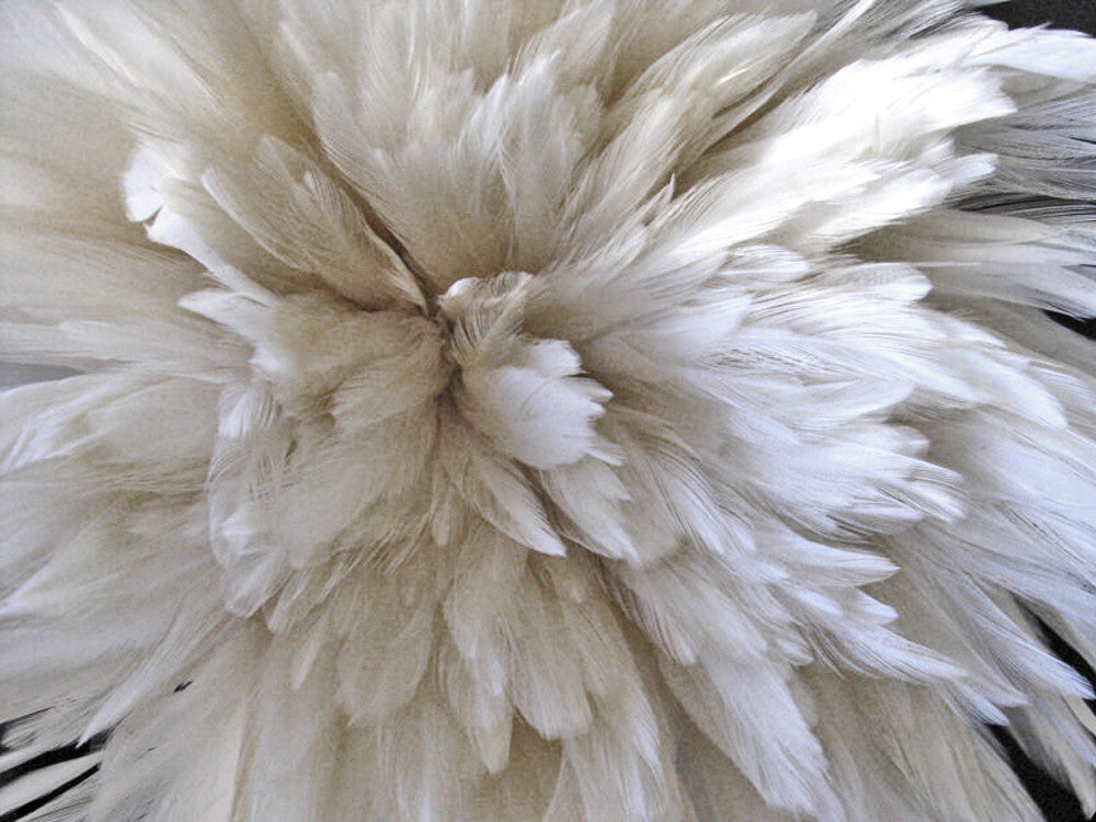 4 Inch Strip - 4-6" Natural White Strung Chinese Rooster Saddle Feathers