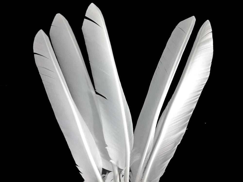 1/4 Lb - White Turkey Pointers Primary Wing Quill Large Wholesale Feathers (Bulk)