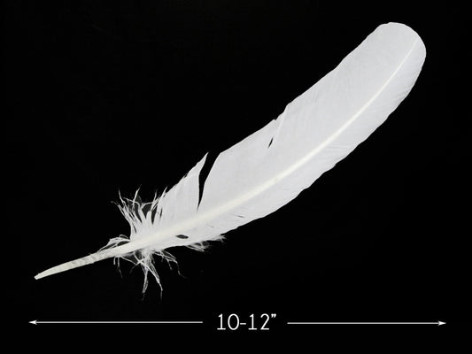 6 Pieces - White Turkey Rounds Secondary Wing Quill Feathers