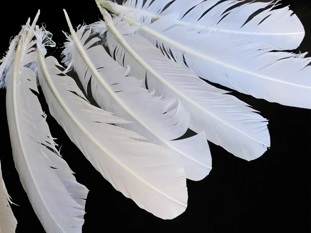 Soft white feathers for DIY crafts and fashion decor on a black background.