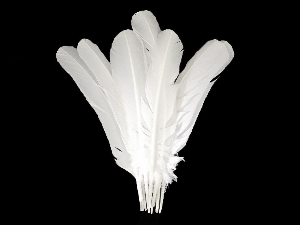 6 Pieces - White Turkey Rounds Secondary Wing Quill Feathers