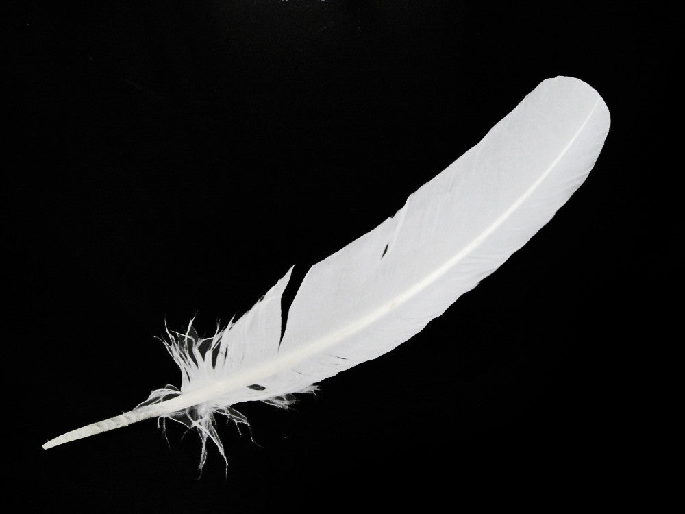 10 Lbs. - White Turkey Rounds Wing Quill Wholesale Feathers (Bulk)