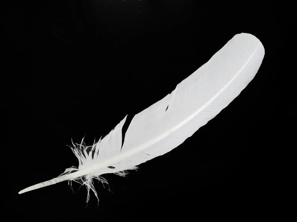 Single soft white feather for DIY crafts and fashion decor on a black background.
