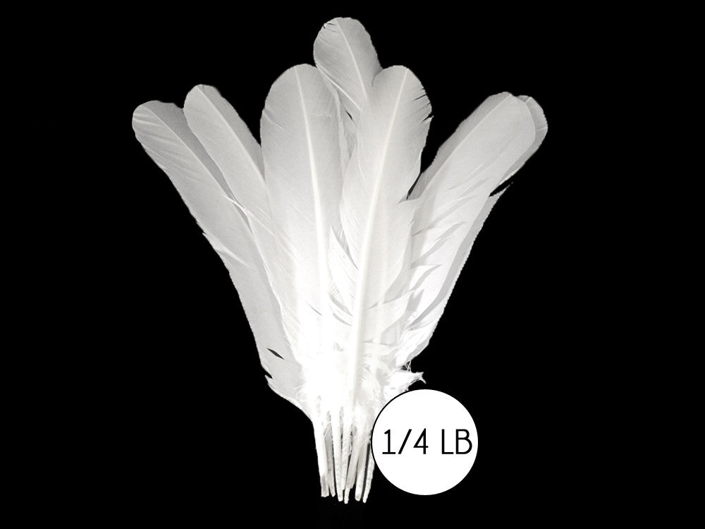 1/4 Lb - White Turkey Tom Rounds Secondary Wing Quill Wholesale Feathers (Bulk)